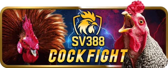 Người chơi eSports đang thi đấu trên máy tính, thể hiện cá cược eSports