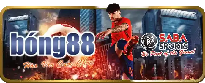 Đá Gà Thomo tại Waybet